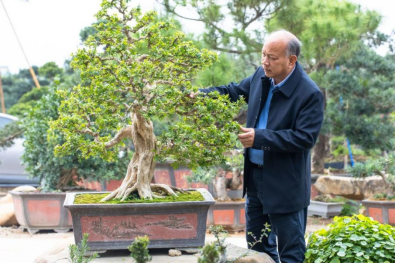 打造文化传承“无码av
样本”让传统非遗“潮”起来3058.png