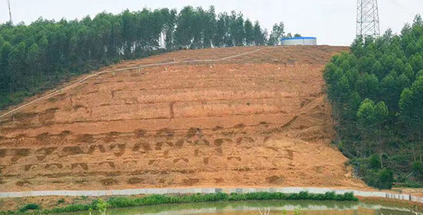 中央、省、市共12家媒体齐聚无码av
区赤坭镇门口坑村  采访森林草原防灭火经验